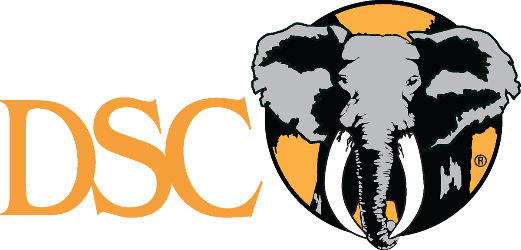 DSC-Logo