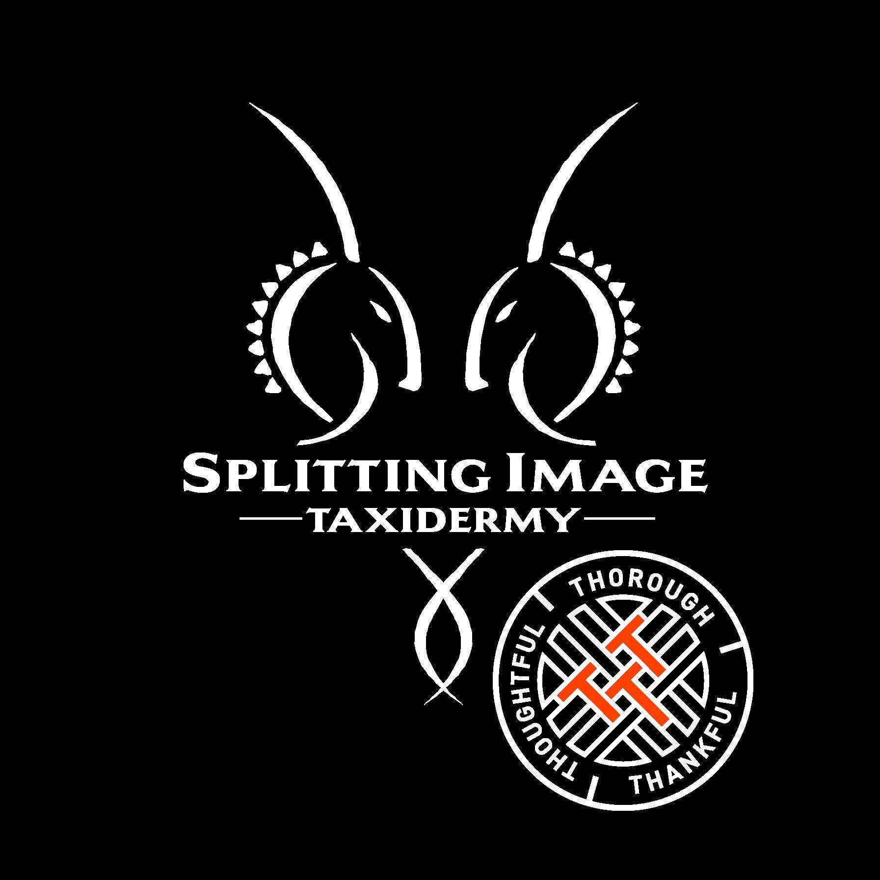 Splitting-Image-1
