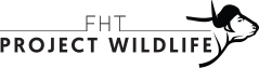 logo-1